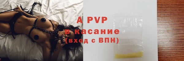 apvp Богданович